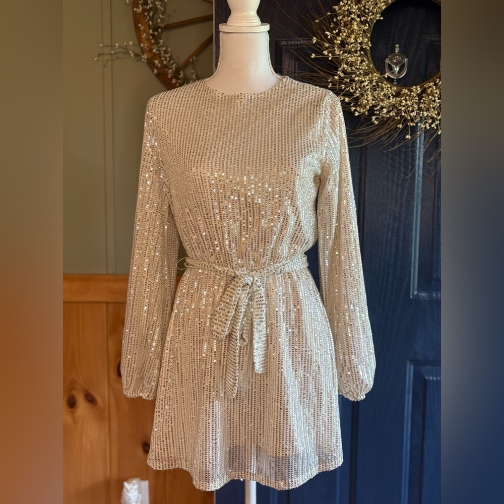 Forever 21 Shimmering Long Sleeve Dress size S